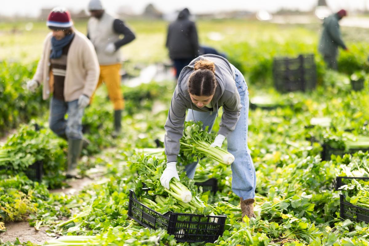 What is the salary of agricultural workers with H-2A visas in North Carolina in 2026?